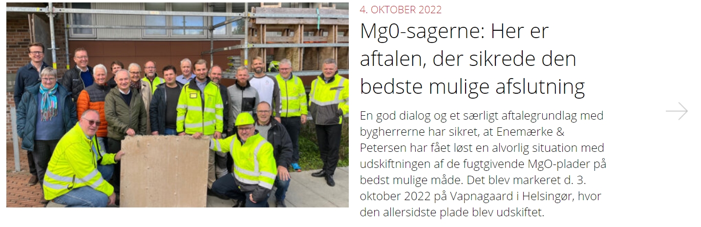 Skærmbillede_29-10-2024_175727_eogp.dk