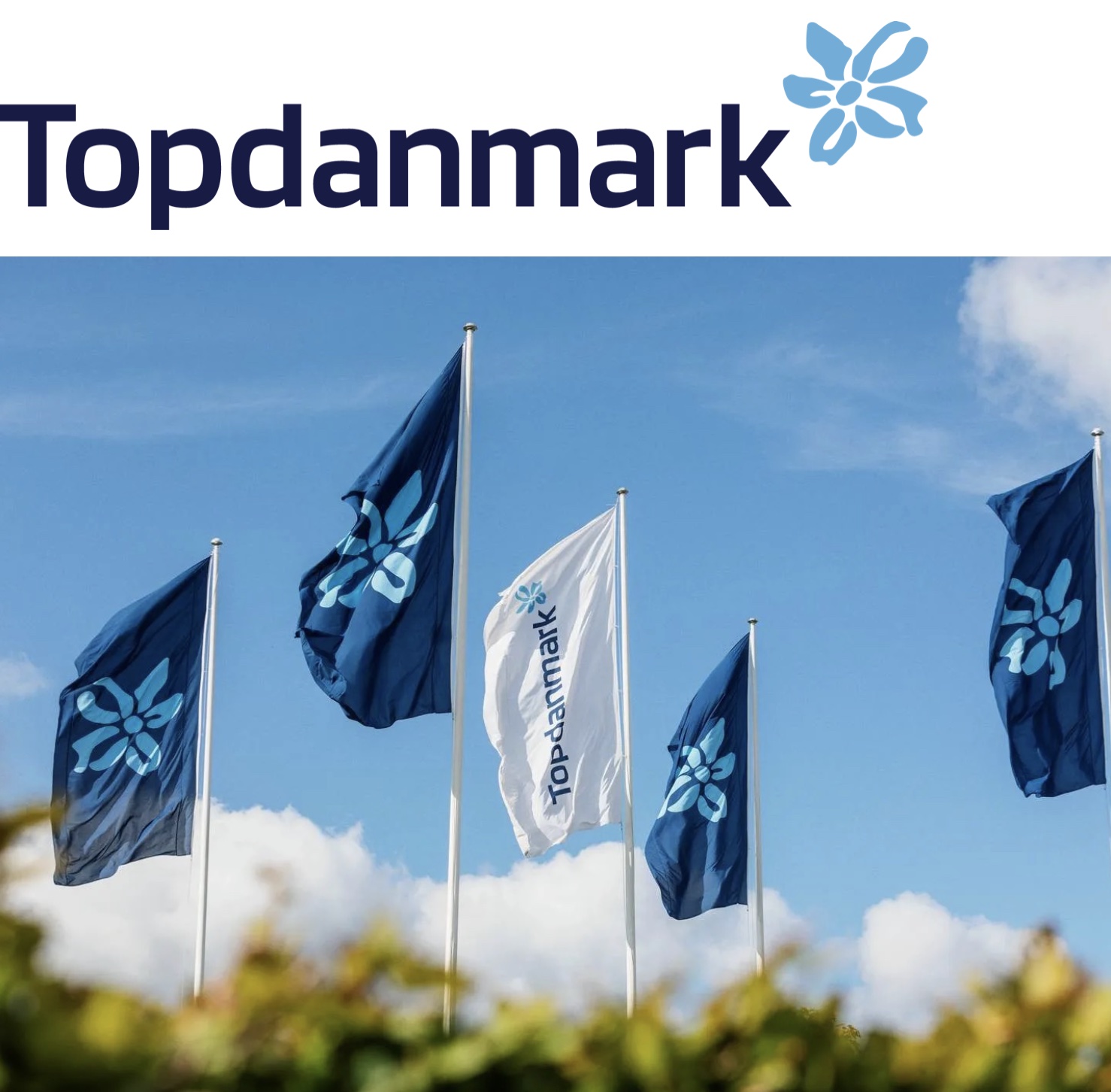 Topdanmark